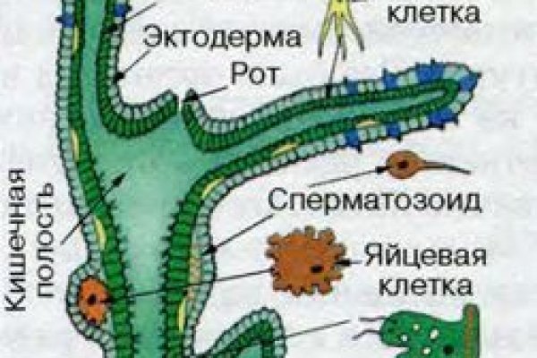 Kraken darknet market ссылка
