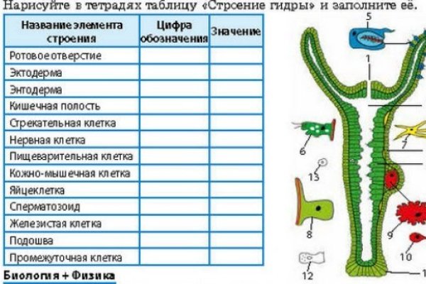 Зайти на кракен без тора