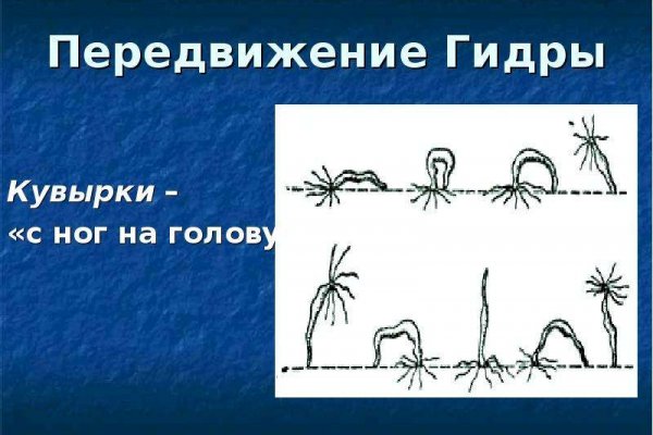 Кракен даркнет маркет плейс