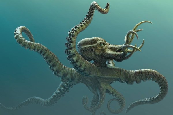 Kraken сайт зеркала krakens15 at